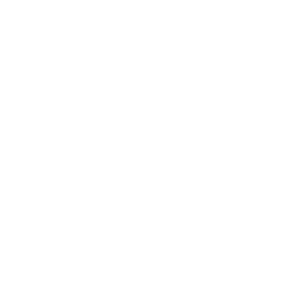 Dumbbell icon